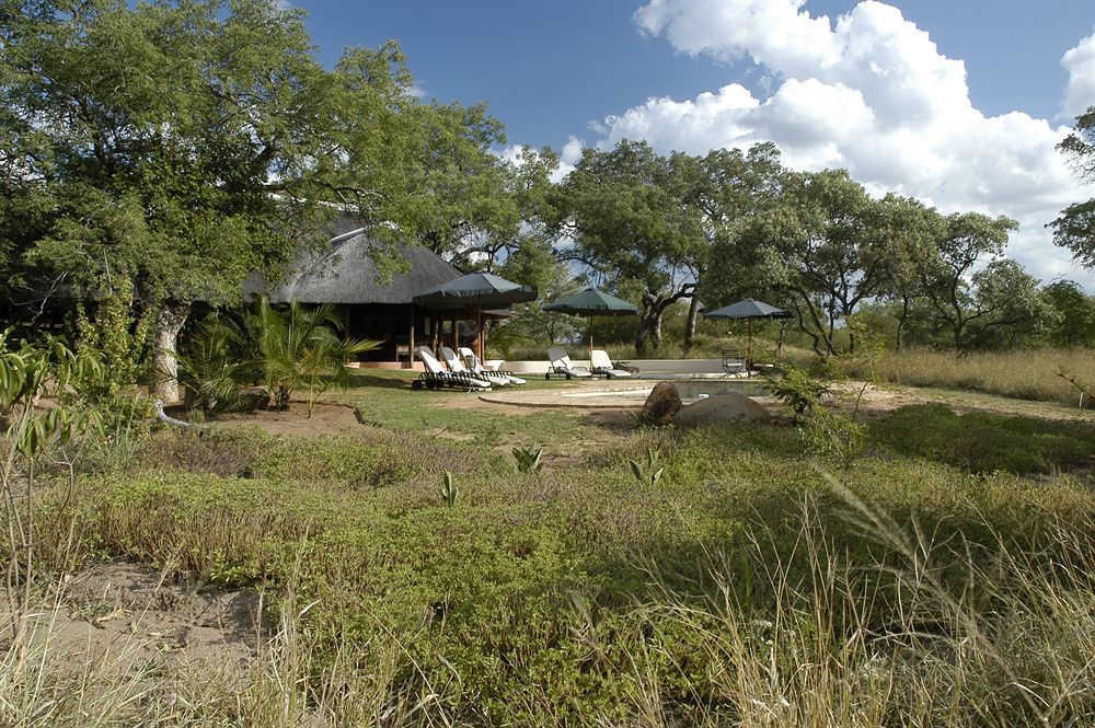 Thornybush Jackalberry Lodge Thornybush Game Reserve Zewnętrze zdjęcie